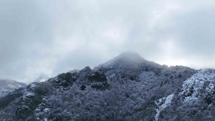 Ilgaz Dağı’nın eteklerinde buluşan kar ve sis mest etti