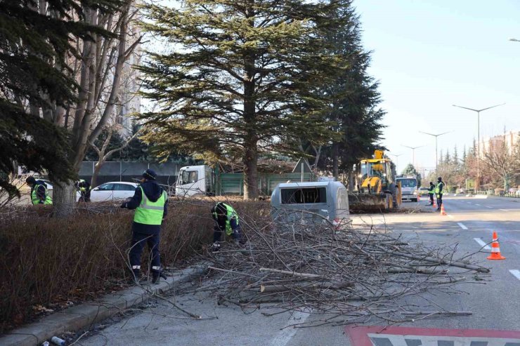 Büyükşehir ekipleri budama çalışmalarına devam ediyor