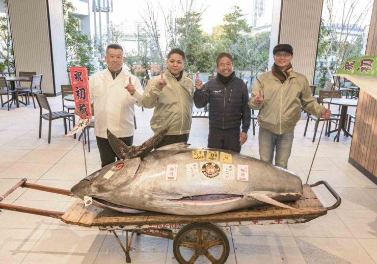 Japonya’daki yeni yıl mezatı: 276 kiloluk mavi yüzgeçli orkinos 1,3 milyon dolara satıldı