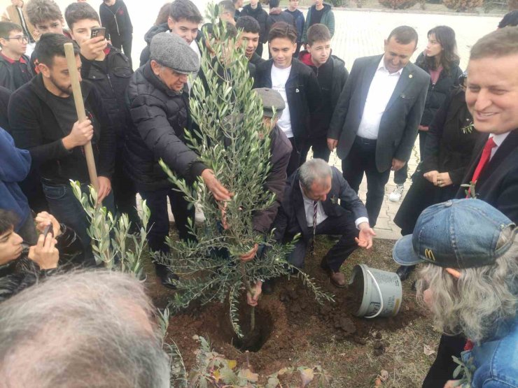 Meslek lisesinin 63. yaşında 63 adet zeytin ağacı sonsuzluğa kök saldı