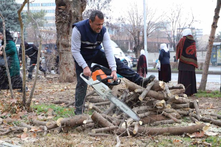 Diyarbakır’da 24 bin 833 ağaç budandı