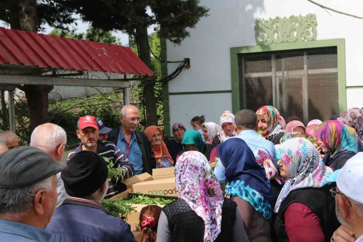 Atakum’da çiftçiye 30 bin sebze fidesi ve tohum desteği