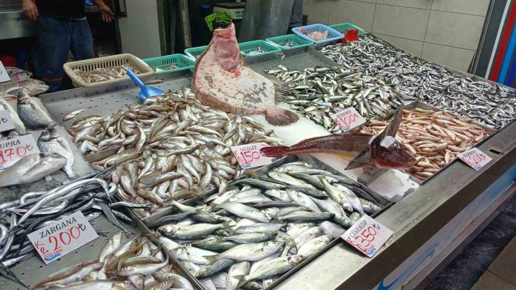 Balık tezgahının gözdesi kalkan ve kırlangıç oldu