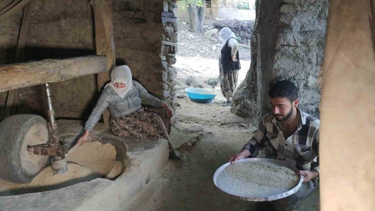Bitlis’te asırlık su değirmenlerinde çeltikler pirinç haline getiriliyor