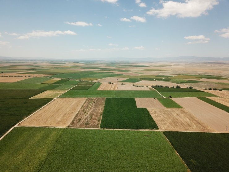 DSİ Eskişehir’de emeği berekete dönüştürmeye devam ediyor