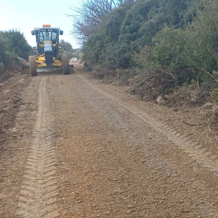 Didim Belediyesi, üreticinin yanında olmaya devam ediyor
