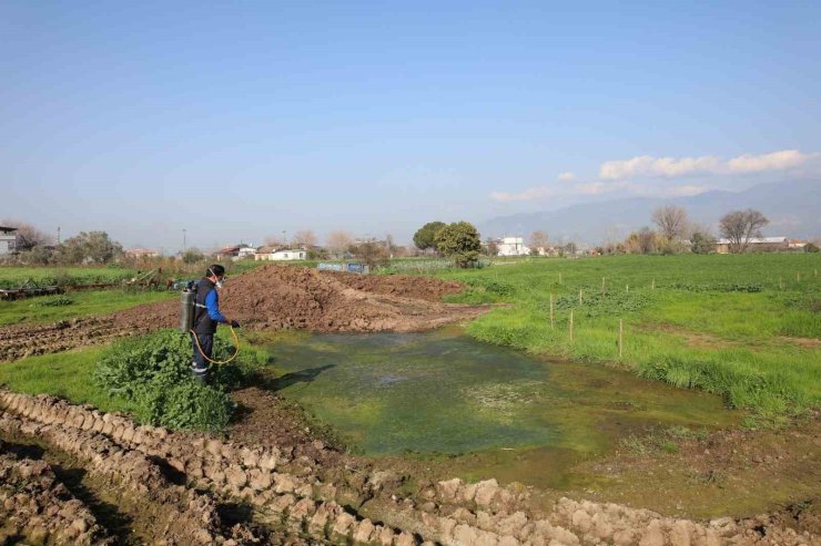 Efeler’de sineklerle mücadele yıl boyunca devam ediyor