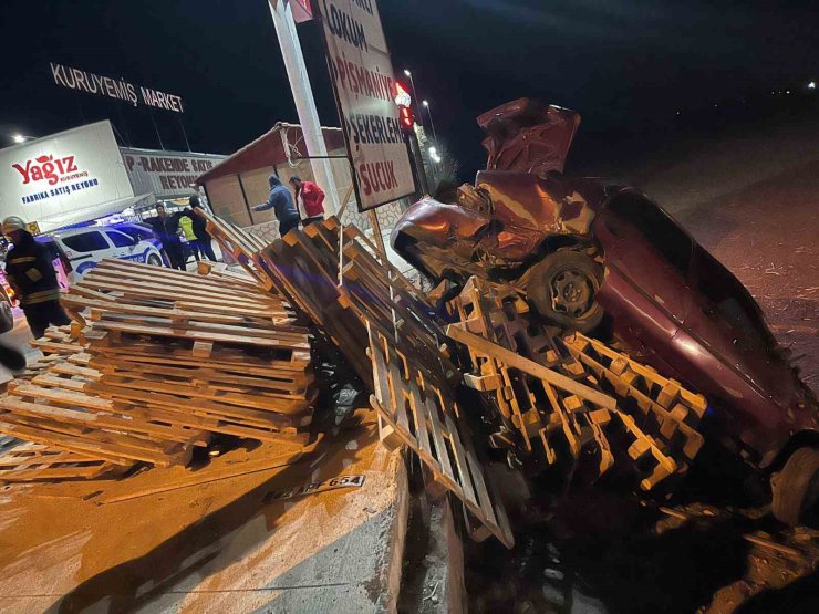 Kontrolden çıkan otomobilin sürücüsü yaralandı