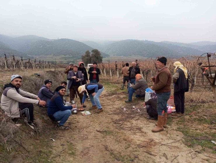 Tarım işçileri bahar havasında çalışıyor