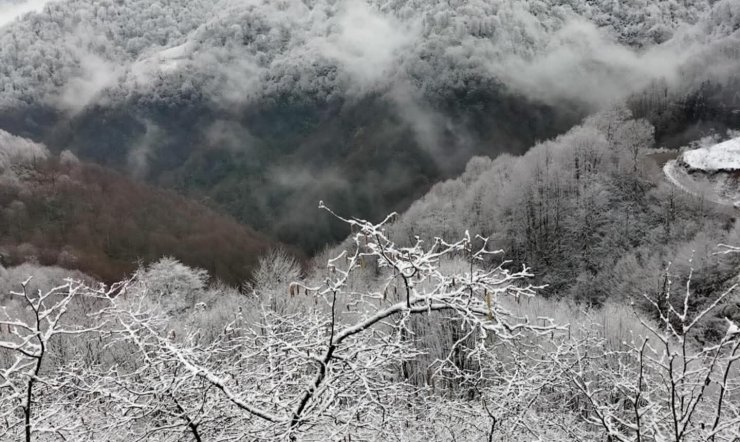 Alaplı’nın Gümeli köyüne mevsimin ilk karı düştü
