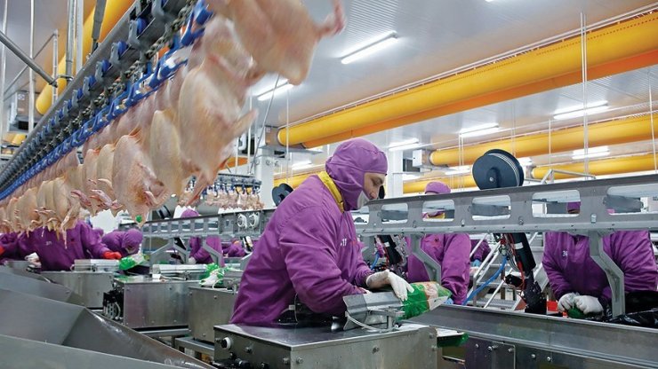 Türkiye AB’ye işlenmiş tavuk eti ihracatına hazırlanıyor