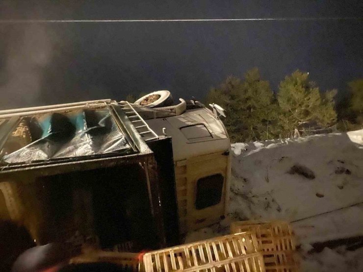 Erpiliç’in tavuk yüklü kamyonu devrildi: Yüzlerce tavuk telef