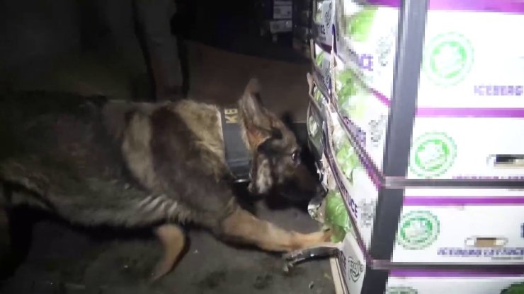 Tuzla’da uyuşturucu operasyonu: Sebze yüklü tırda 27,5 kilo uyuşturucu bulundu