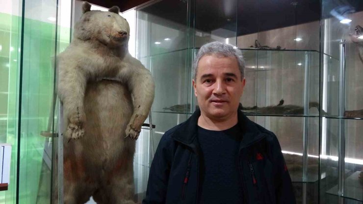 Yaban hayatı uzmanından yabani hayvanlara besin bırakılmaması uyarısı