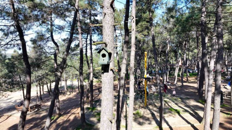Ümraniye’de doğaya en güzel katkı: ‘Kuş evleri’