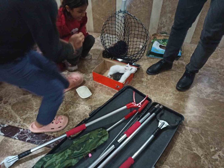 Havalandırma boşluğuna giren yavru kediler kurtarıldı