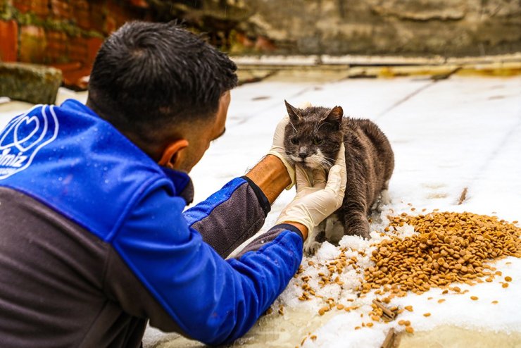 Gaziosmanpaşa Belediyesi’nden sokak hayvanları için mama desteği