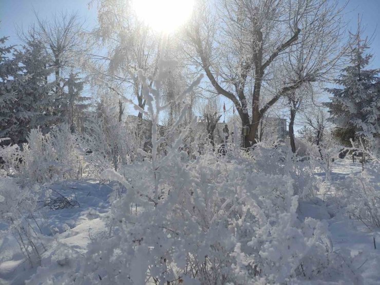 Türkiye’nin en soğuk yeri eksi 28,4 dereceyle Ardahan Göle oldu