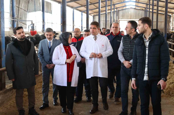 Hedef hayvan varlığını arttırmak