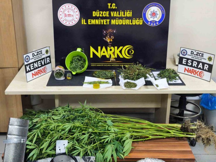 Düzce polisinden uyuşturucu baskını