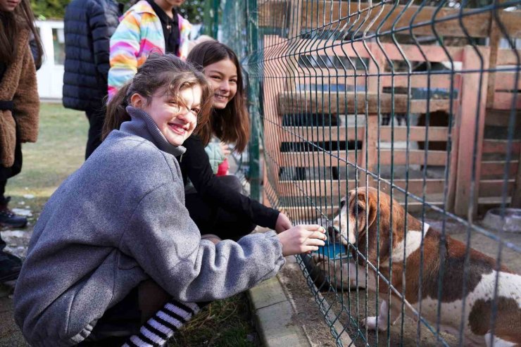 Öğrencilerden can dostlara anlamlı bağış