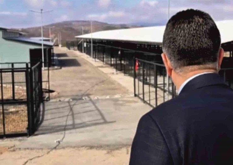 Bölgesel hayvan barınağı yakın zamanda hizmete başlayacak