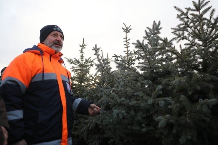 Kayseri’nin yeşil örtüsü Kocasinan’da filizleniyor