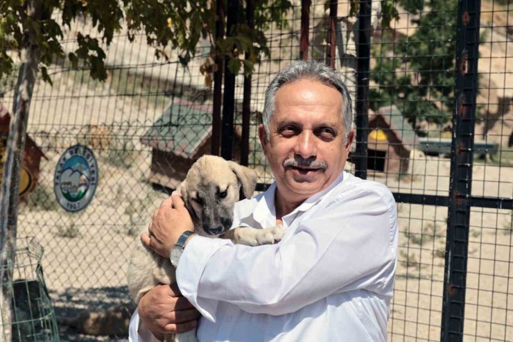 Talas’ta sevimli patiler için önemli çalışma