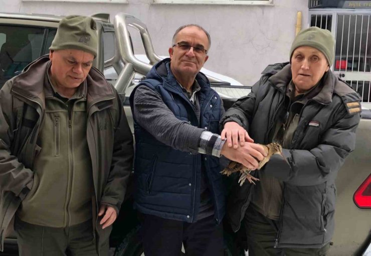 Emekli sağlıkçı karda aç kalan çulluğa sahip çıktı