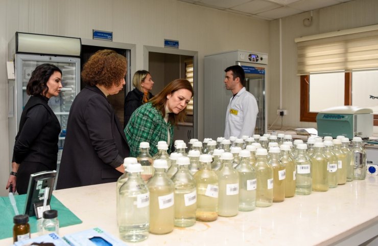 MESKİ Su Analiz Laboratuvarı, TÜRKAK denetimini başarıyla tamamladı