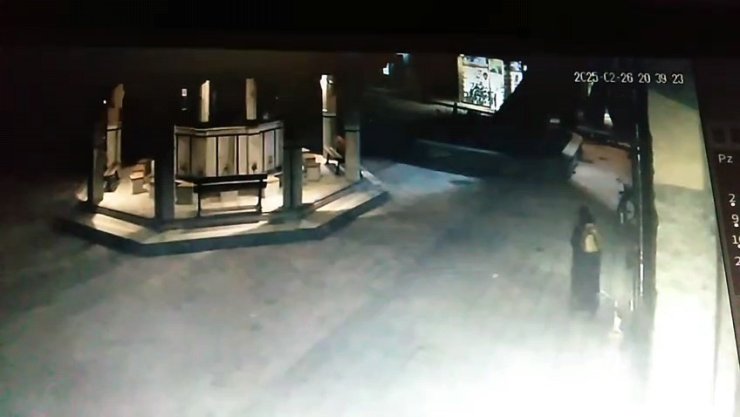 Devrilen çınarın altında kalmaktan son anda kurtuldu