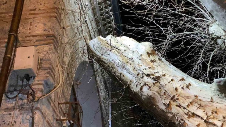 550 yıllık çınar, tarihi İshakpaşa Camii’nin üzerine devrildi