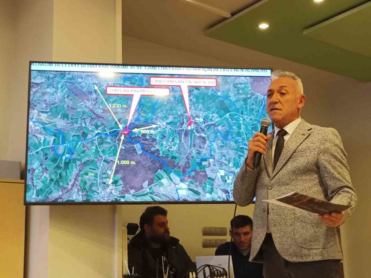 Atakum meclisinde gündem ‘hayvan barınağı’