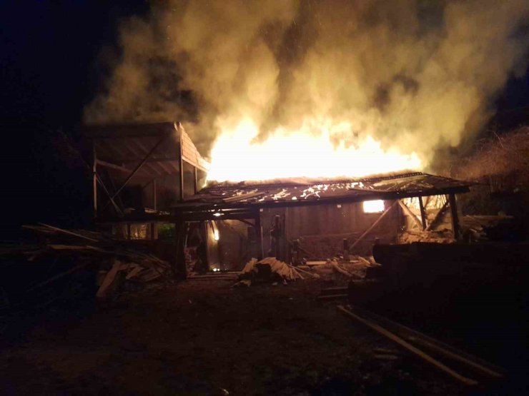 Tek katlı evde çıkan yangında yaşlı kadın hayatını kaybetti