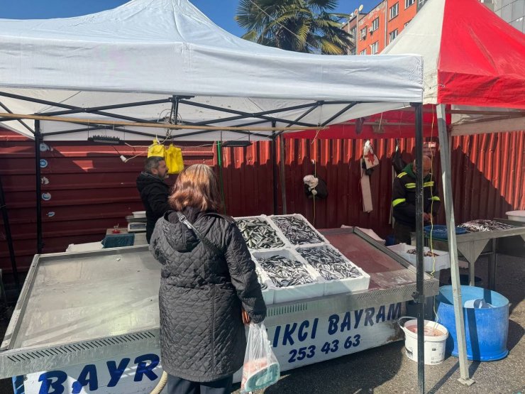 Zonguldak’ta tezgahlarda mezgit bolluğu