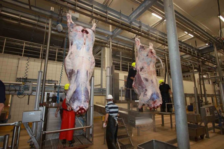 Dünyaya örnek gösterilen mezbahada helal kesim ve uygulamalı eğitim