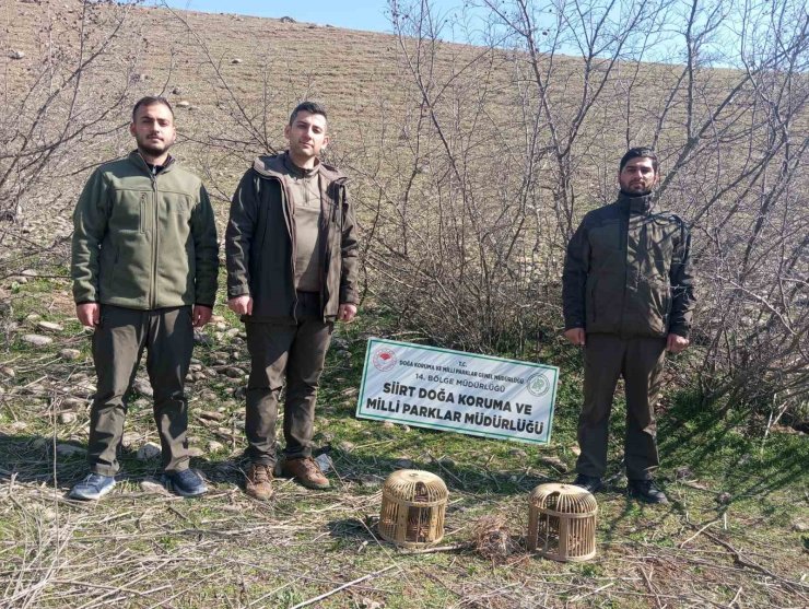 Siirt’te kaçak ava 28 bin lira ceza