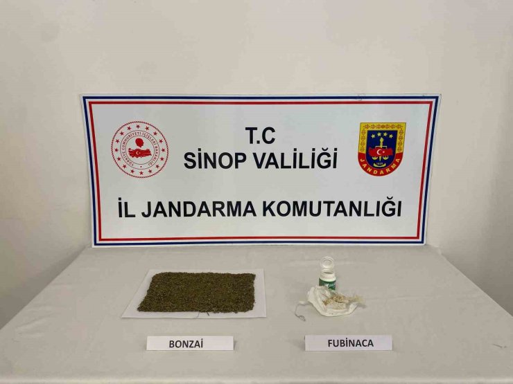 Sinop’ta uyuşturucu operasyonu :1 tutuklama