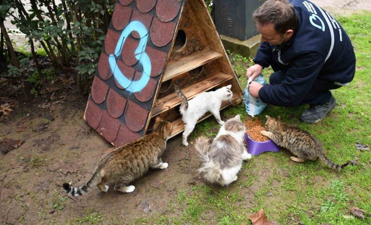 Balıkesir’de patili dostlara sıcak yuva