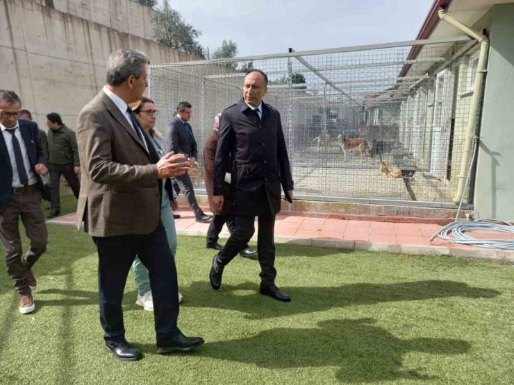 Muğla Büyükşehir Geçici Hayvan Bakım Evi’nde inceleme