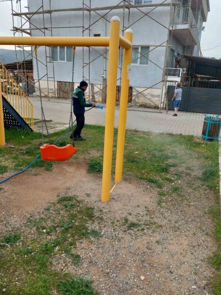 Karacasu’da yabani ot mücadelesi başladı