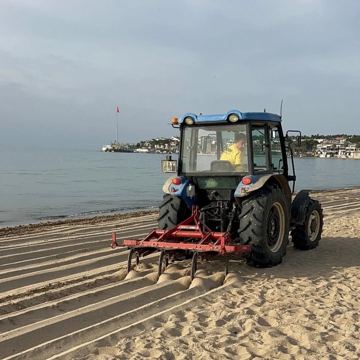 Didim sahilleri yaza hazırlanıyor