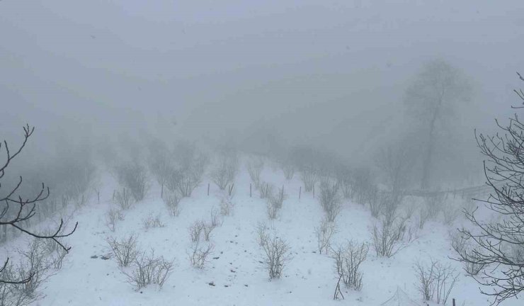 Mart kapıdan baktırdı, kazma kürek yaktırdı
