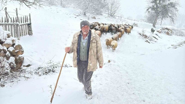 Hayvanlarını otlatmak için meraya çıkan çobanlara kar sürprizi