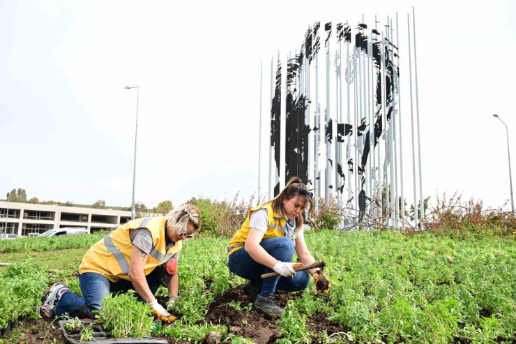 Büyükşehir Aydın’ı doğanın yeşil tonları ile süslüyor
