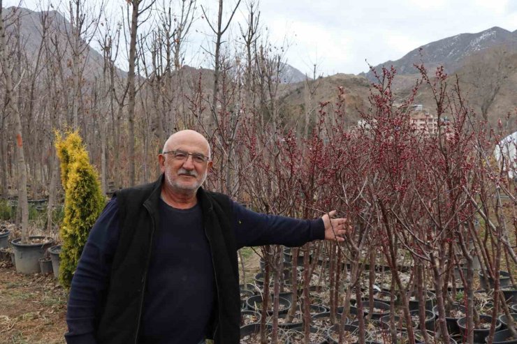 Ömrünü fidan üretimine adadı