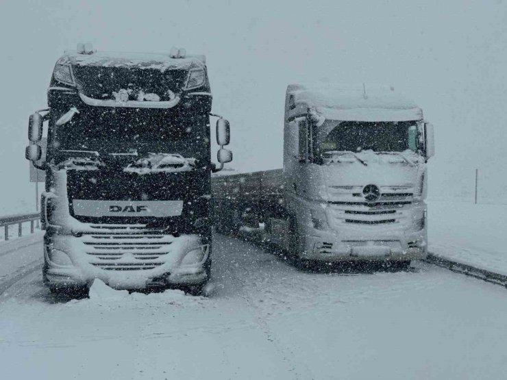 Van’da kar yağışı