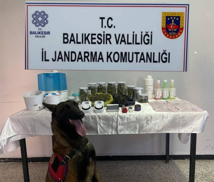 Balıkesir’de jandarmadan kaçakçılık ve uyuşturucuya darbe: 81 şüpheliye işlem yapıldı