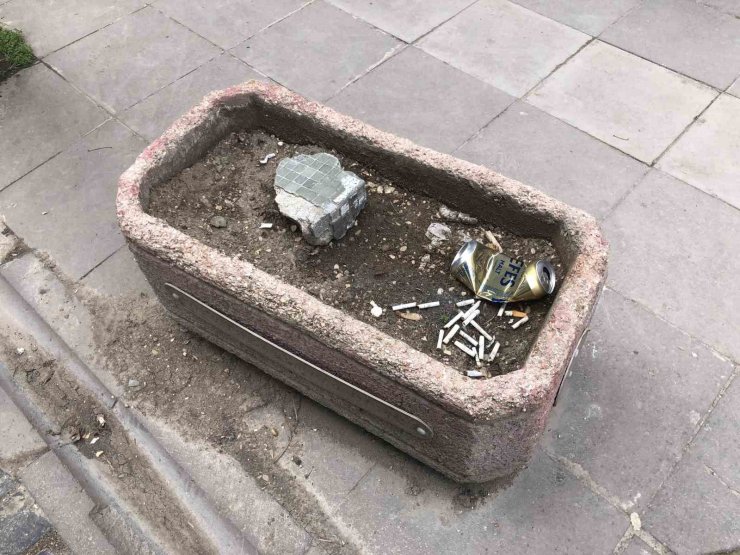 Vatandaşlar ceza ödememek için çözümü saksıda buldu