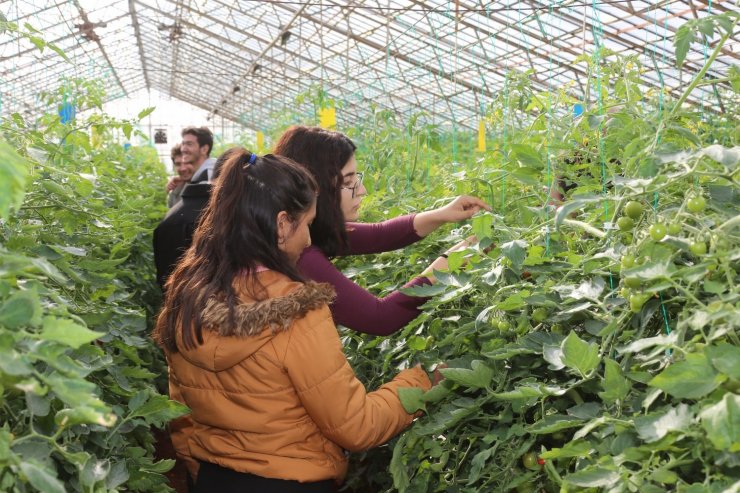 Akdeniz Üniversitesi öğrencilerinin 207 projesi TÜBİTAK tarafından desteklenecek
